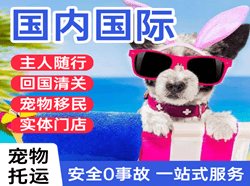 二连浩特航空邮寄国际宠物托运 【国